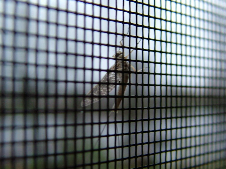 insect screen